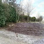 Romantic In Дом отдыха Мальмеди